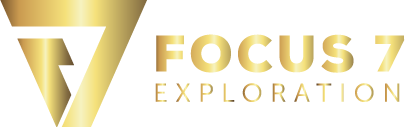 FOCUS 7 Logo